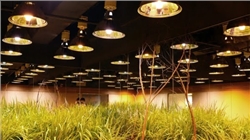 Đèn âm trần dimmable là gì ? Khi nào nên chọn?