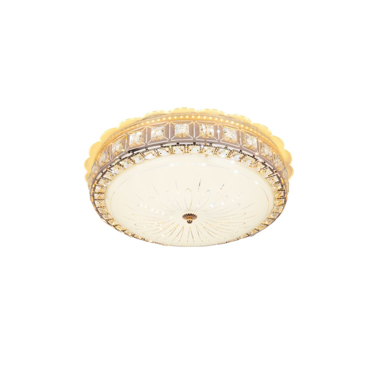 Đèn ốp trần OPL.H73