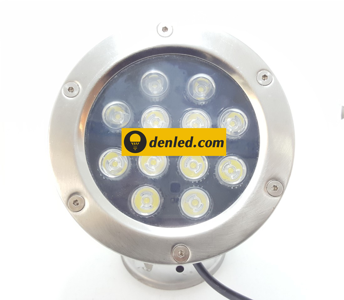 Đèn Led âm nước DAN-12W
